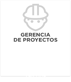 Gerencia de Proyectos