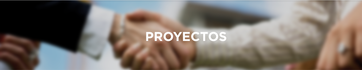 proyectos